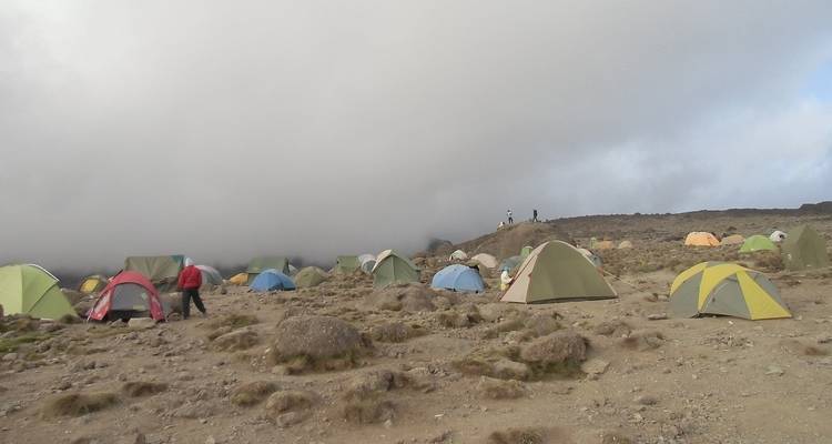 6 Days 5 Nights Climbing Mt Kilimanjaro via Lemosho Route - Perfect Wilderness Tours And Safaris 4