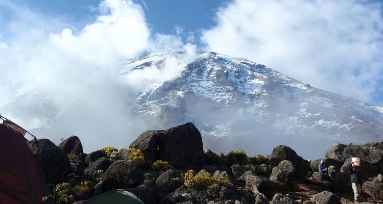 6 días 5 noches ascenso al Kilimanjaro por la ruta Marangu - Perfect Wilderness Tours And Safaris 10
