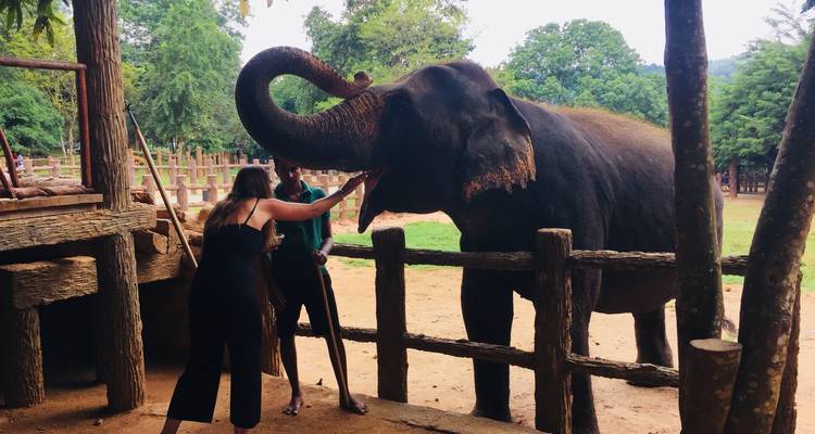 8 Days Experience Sri Lanka - Sri Lanka Vacation Tours 1