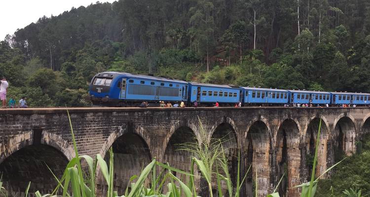 8 Days Experience Sri Lanka - Sri Lanka Vacation Tours 6