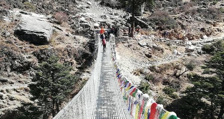 Suspension bridge with colorful prayer flags and hikers crossing.