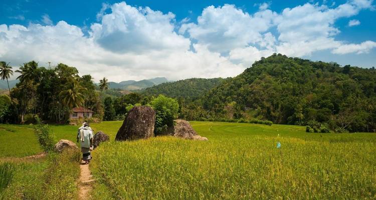 Experiencias auténticas de 6 días en Sri Lanka - Beyond Escapes 6