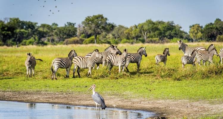 Safari classique de 7 jours en Tanzanie - Viola tours & travel 8