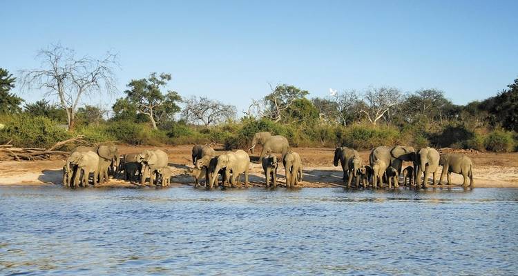 Safari classique de 7 jours en Tanzanie - Viola tours & travel 7