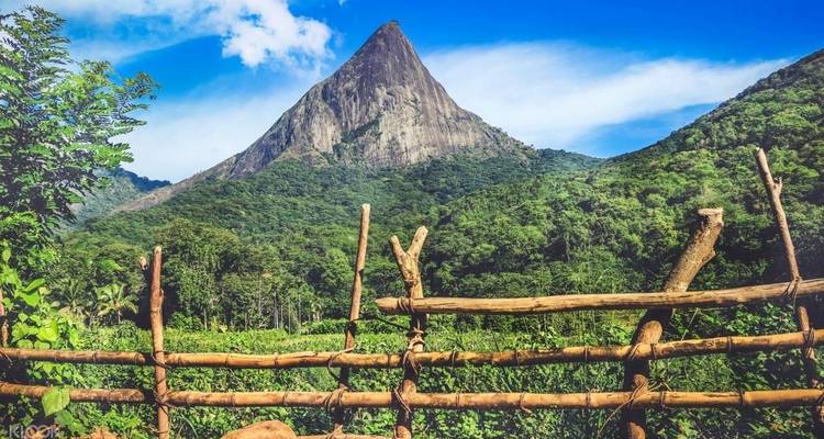 Hoge bergpiek omringd door weelderig groen.