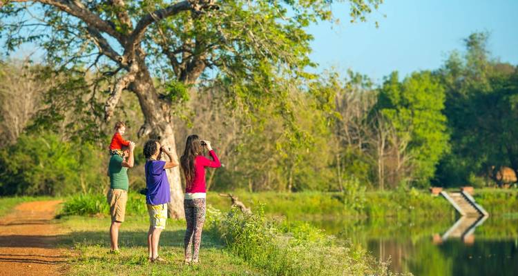 Een familie die het uitzicht bewondert bij een meer onder een grote boom.