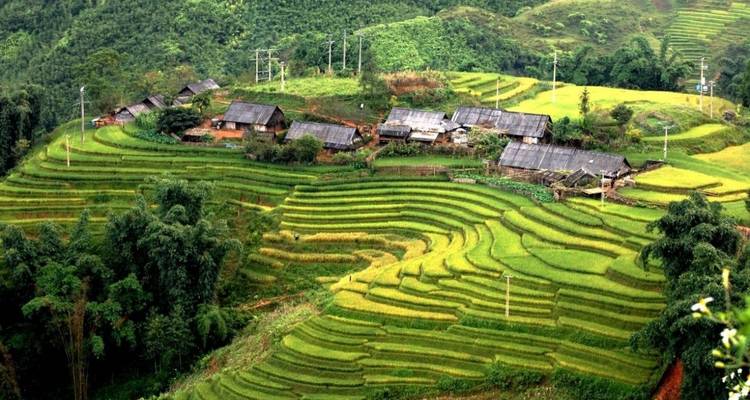 Enamorado de Vietnam - 7 días maravillosos - Crossing Vietnam Tour 9