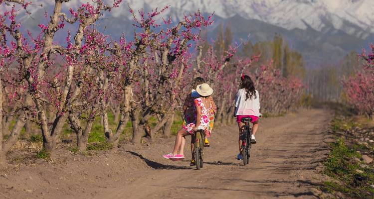 From the Falls to the Andes 12 Days - Hi Travel Argentina 4