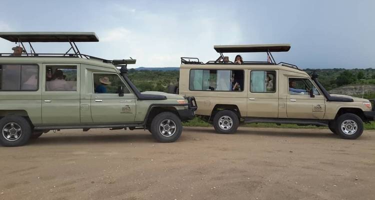 Twee safari voertuigen met toeristen op een onverharde weg.