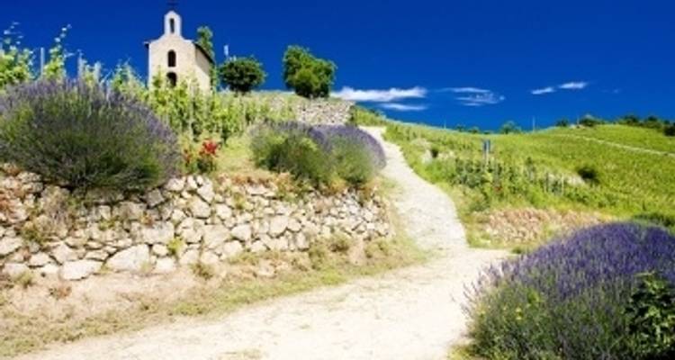 Tous les sites incontournables du Rhône entre Lyon, la Provence et la Camargue avec un dîner au restaurant Abbaye de Collonges de Paul Bocuse - OFFERT (including Vienne) - CroisiEurope River Cruises 4