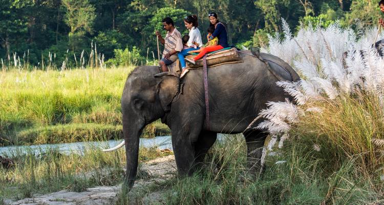Safari dans la jungle de Chitwan - Escape Himalaya Trek 6