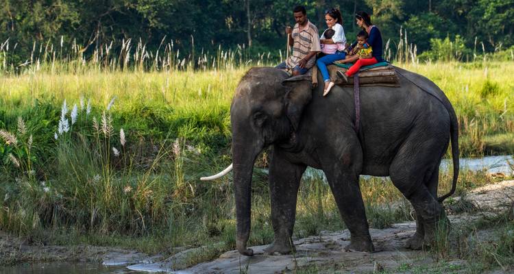 Safari dans la jungle de Chitwan - Escape Himalaya Trek 4