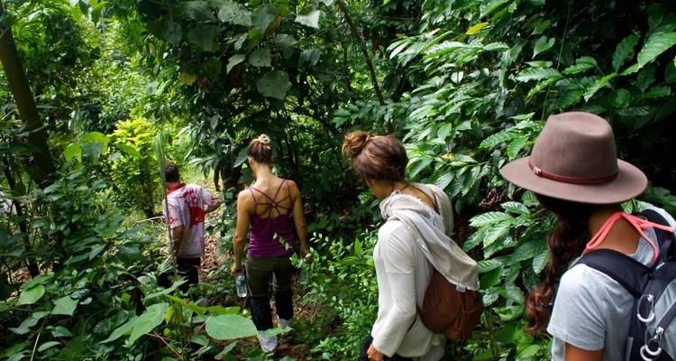 Trekking Sri Lanka - 5 Days - Stelaran Holidays (Pvt) Ltd 4