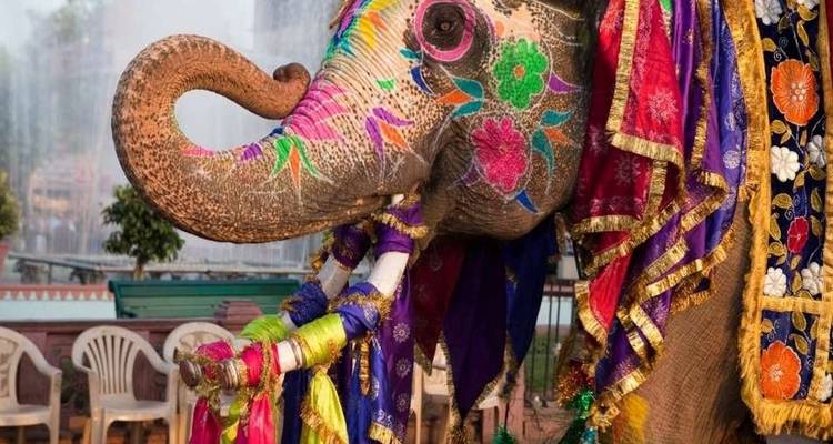 Circuito de 9 días por el Triángulo de Oro con lo más destacado de Bombay - Coxan Tours 1