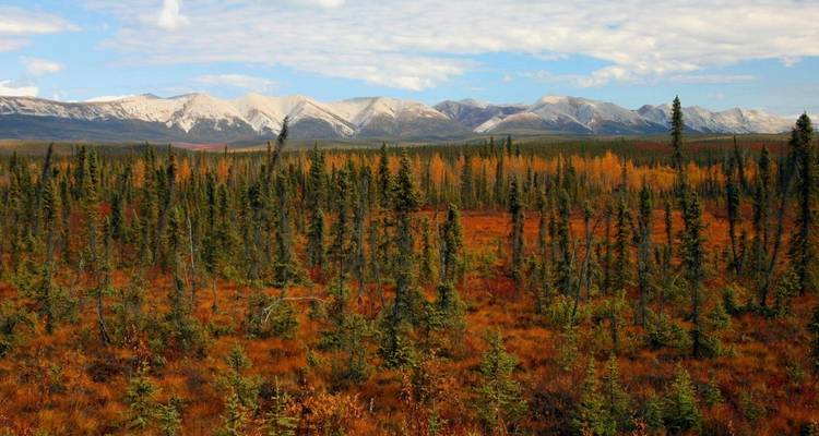 Arctic Summer Explorer | Route vers la mer arctique - Arctic Range Adventure 9
