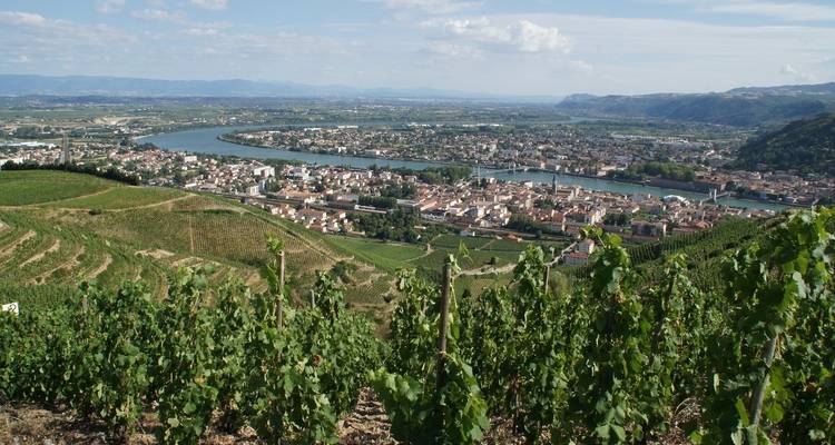 Des vignobles surplombant une rivière et une ville dans un paysage pittoresque.