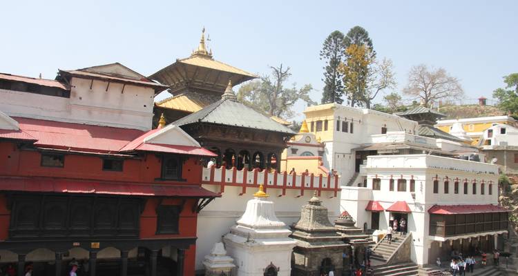 Lo mejor de Nepal y excursión al Parque Nacional de Bardia - Asian Heritage Treks & Expeditions 4