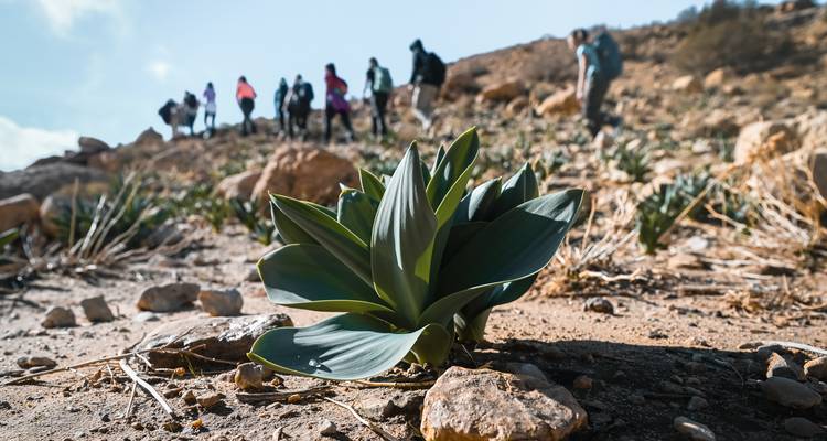 Aventure active en Jordanie - Experience Jordan 1