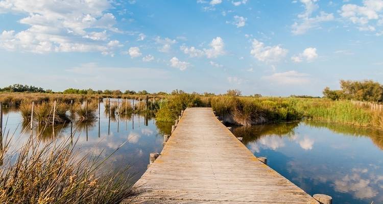 All the must-see sites on the Rhône between Lyon, Provence, and the Camargue with optional dinner at Paul Bocuse's (including Vienne) - CroisiEurope River Cruises 4