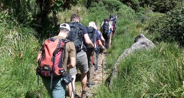 Ascender a la cima del Pico Uhuru por la ruta Umbwe - Maasai African Guides and DMC Ltd 3