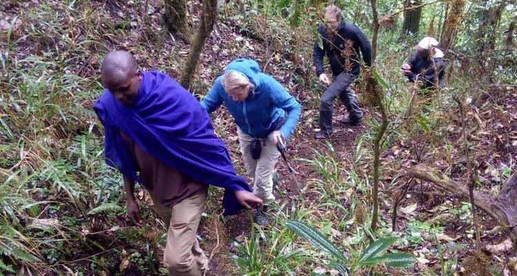 Ascender a la cima del Pico Uhuru por la ruta Umbwe - Maasai African Guides and DMC Ltd 2