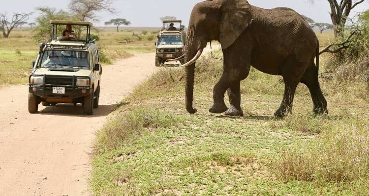 Conquérir le Mont Meru en 5 jours - Maasai African Guides and DMC Ltd 4