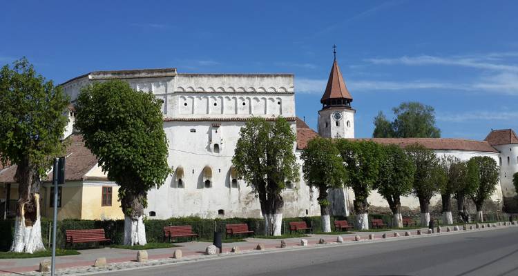 Visite privée de 6 jours de Dracula en Transylvanie au départ de Bucarest avec prise en charge et retour à l'hôtel - Transylvania Discovery Tours 3