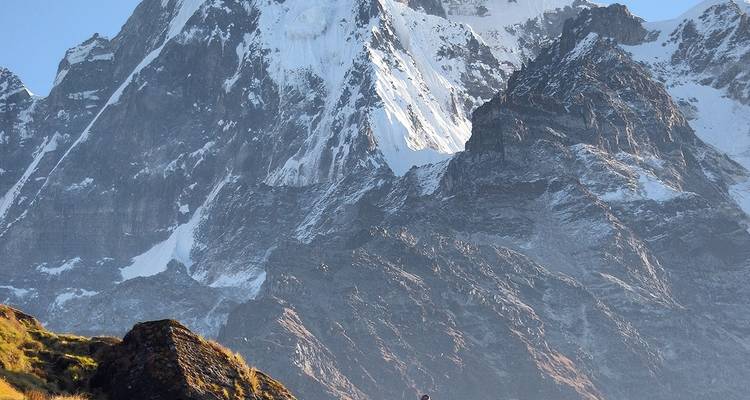 Trek du Mardi Himal - Travel Max Guide 4