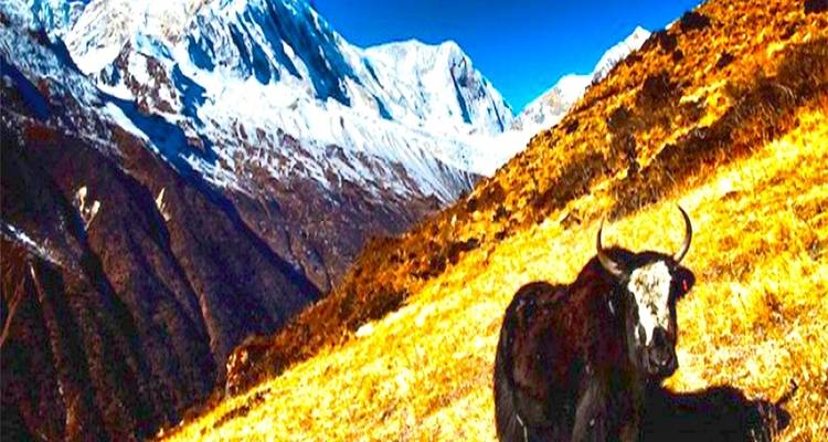 Circuit du Manaslu - Asian Heritage Treks & Expeditions 9