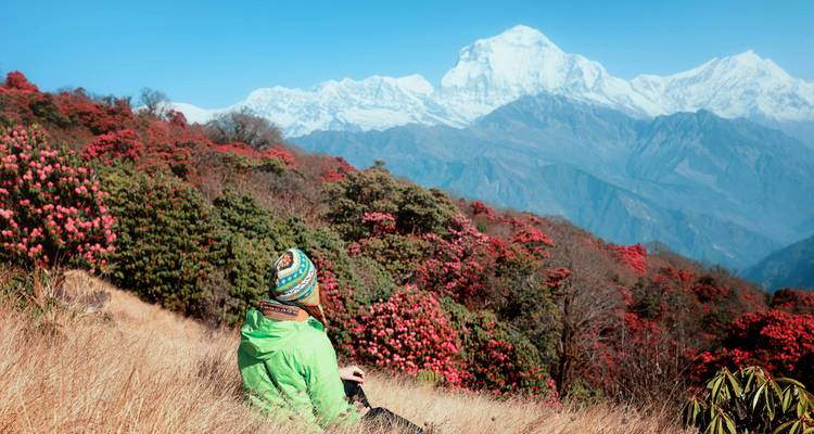 Annapurna Base Camp Trek - Travel Max Guide 10