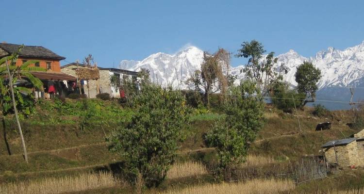 Annapurna Base Camp Trek - Travel Max Guide 4