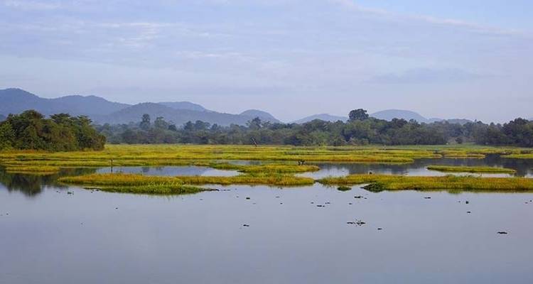 5-Day Tour of The Last Battle of Ravana - Beyond Escapes 4