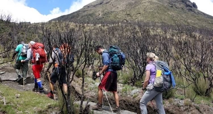 Mount meru trekking 3 days - Almighty Kilimanjaro 2