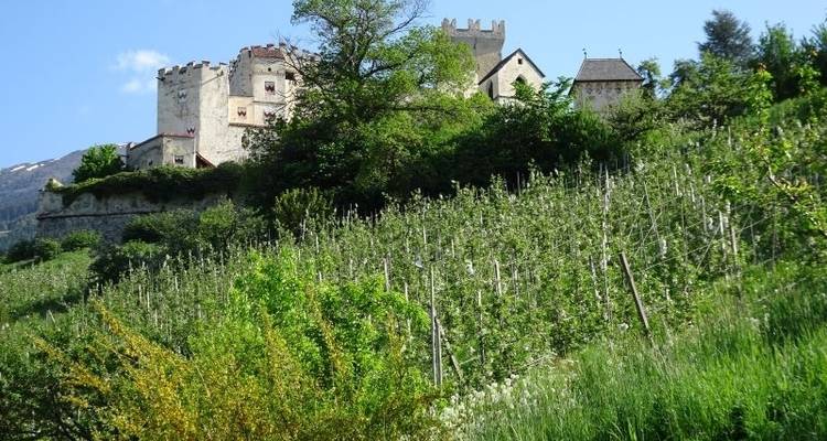 From Garmisch to Merano Charm - Eurohike 3