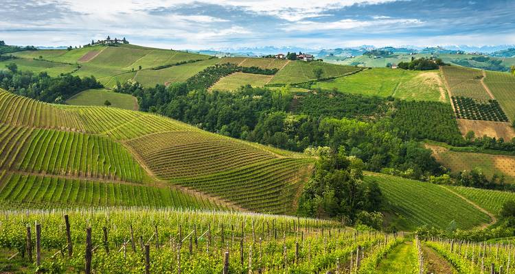 Piémont : Circuit de 4 jours pour les grands chefs et les grands vins - Soleto Travel 3
