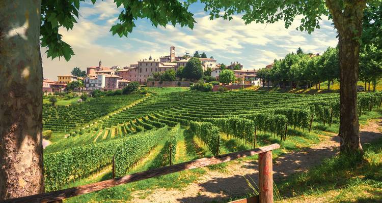Piémont : Circuit de 4 jours pour les grands chefs et les grands vins - Soleto Travel 7