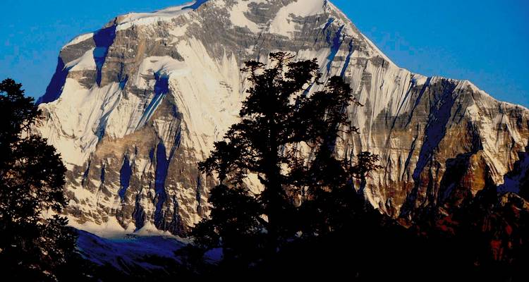 Mohare Danda Trek - 10 Days - Sherpa Expedition & Trekking Pvt. Ltd. 3