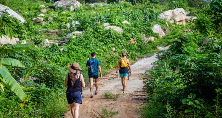 15 Day All Inclusive Fitness, Yoga & Detox Trip in tropical Koh Samui, Thailand - Visit Natural Detox Resort 10
