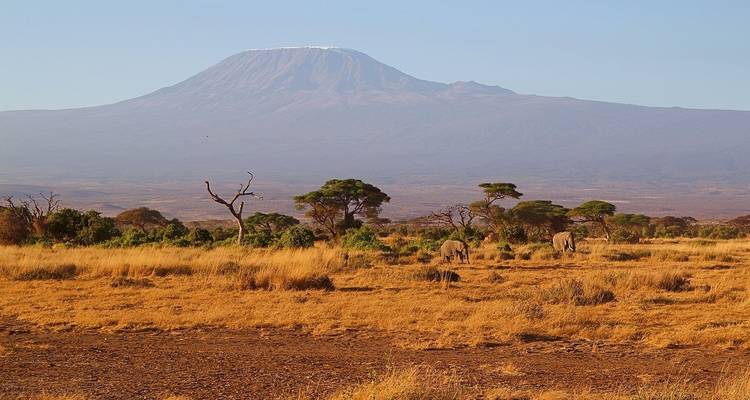Blick auf den Kilimandscharo und Savannenlandschaft.