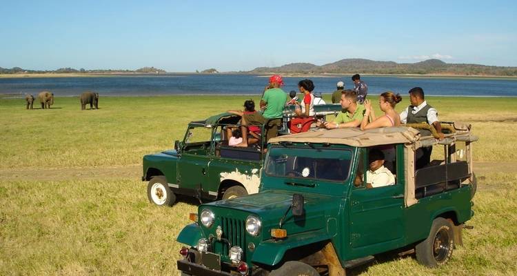 Deux véhicules de safari avec des touristes observant des éléphants à distance.