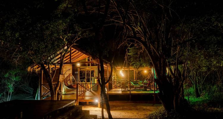 Lodge safari rústico de madera suavemente iluminado entre bosque denso por la noche