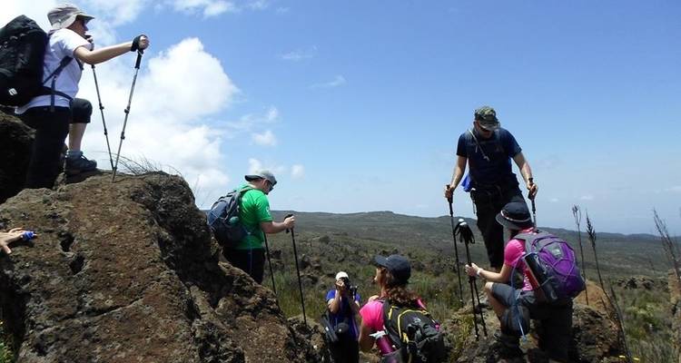 Kilimandjaro Trekking circuit nord 9 jours - Almighty Kilimanjaro 8