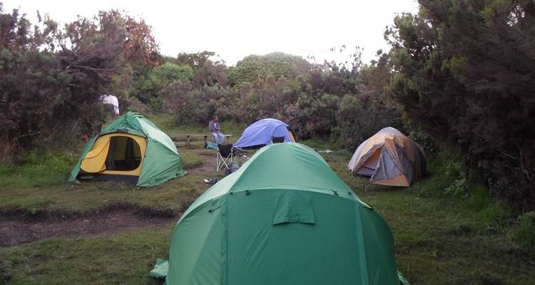Kilimandjaro Trekking circuit nord 9 jours - Almighty Kilimanjaro 9