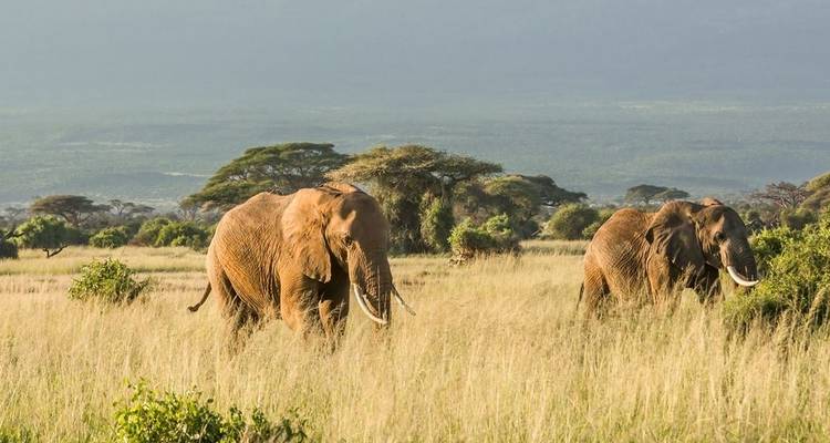 4 jours de safari en camping en Tanzanie - Viola tours & travel 6