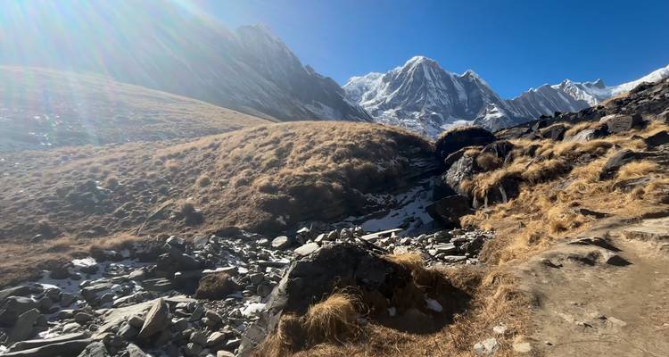 Excursionismo en campamento base del Annapurna - 10 días - Nepal Lion Tours & Treks Pvt Ltd.  9