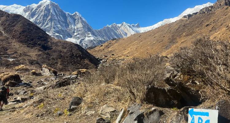 Excursionismo en campamento base del Annapurna - 10 días - Nepal Lion Tours & Treks Pvt Ltd.  10