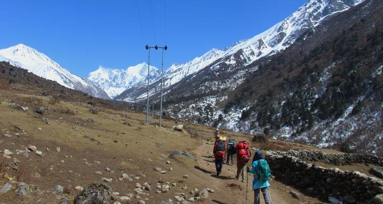 Trekking dans la vallée du Langtang - Peregrine Treks and Expedition Pvt Ltd 3