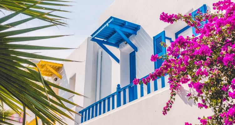 Edificio de colores brillantes con contraventanas azules y flores rosadas.