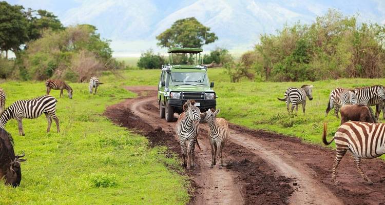 Safari de 5 jours - Migration de la faune vers l'ouest - mi- juillet uniquement - Viola tours & travel 8