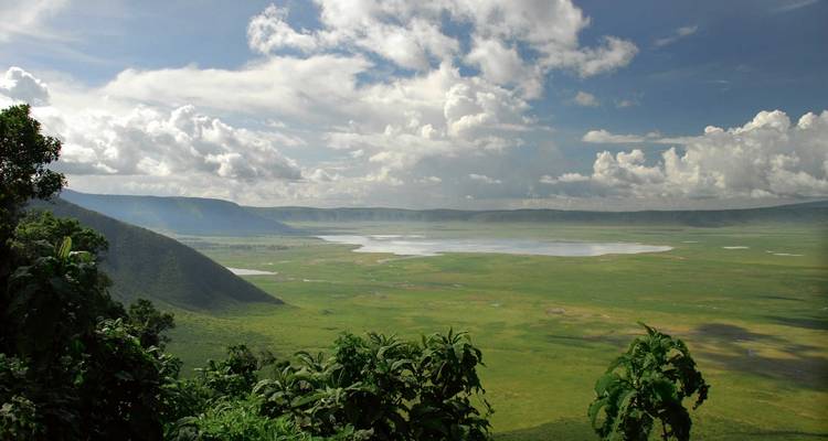 Safari de 5 jours - Migration de la faune vers l'ouest - mi- juillet uniquement - Viola tours & travel 2